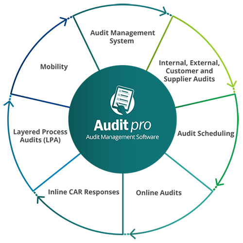 Audit Pro Management Software